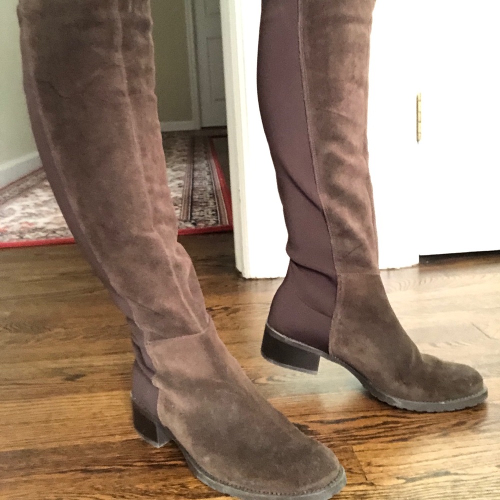 Knee High Suede Brown Boots